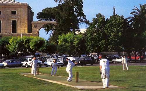 Festival Cricket